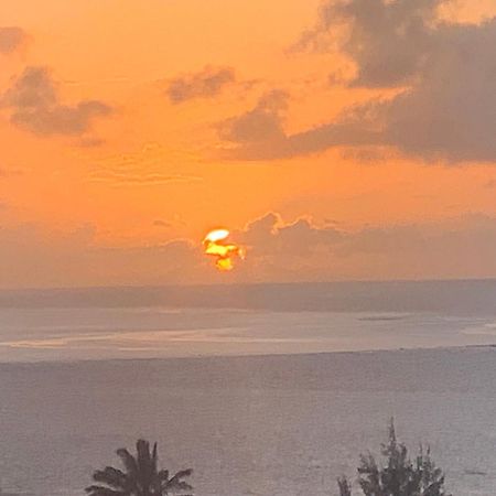 Lily Pad Lodge Bambou エクステリア 写真